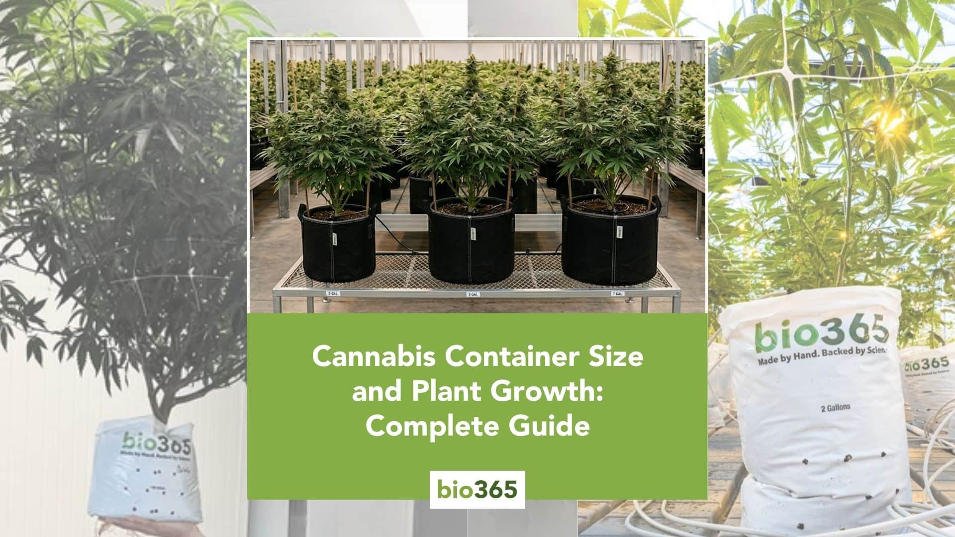 bio365.com