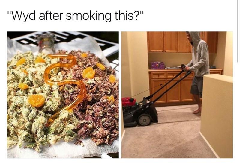 wyd-after-smoking-this
