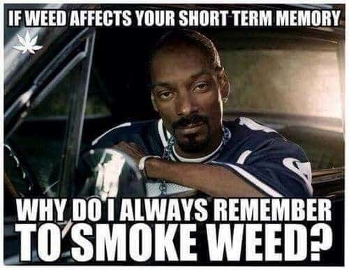 6578-snoop.jpg