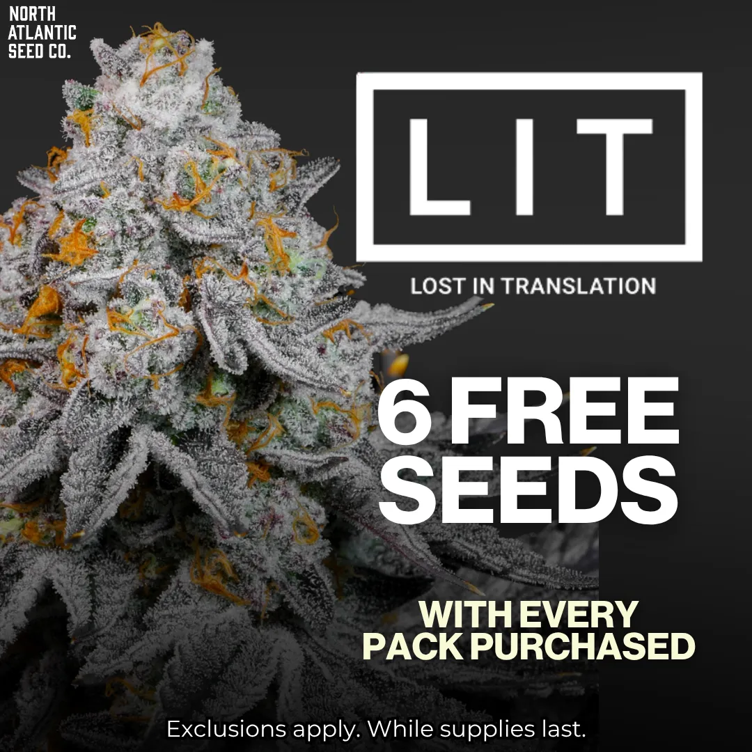 www.northatlanticseed.com