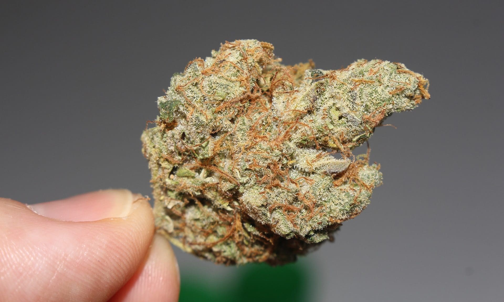 www.marijuanamoment.net